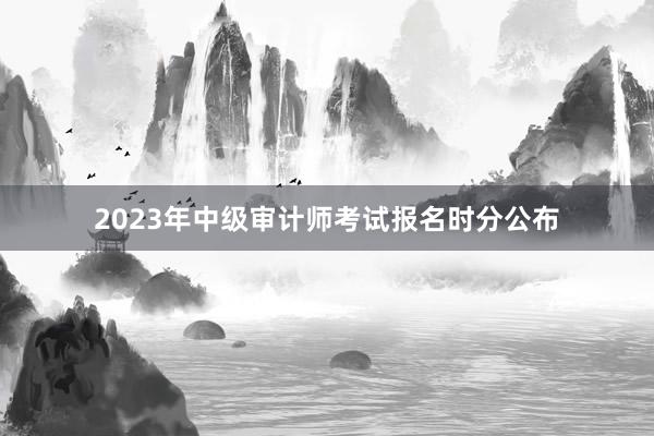 2023年中级审计师考试报名时分公布