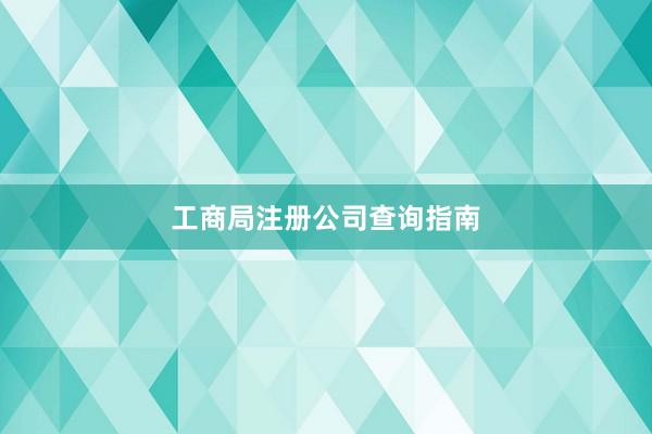 工商局注册公司查询指南