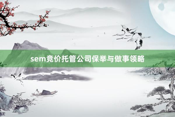 sem竞价托管公司保举与做事领略