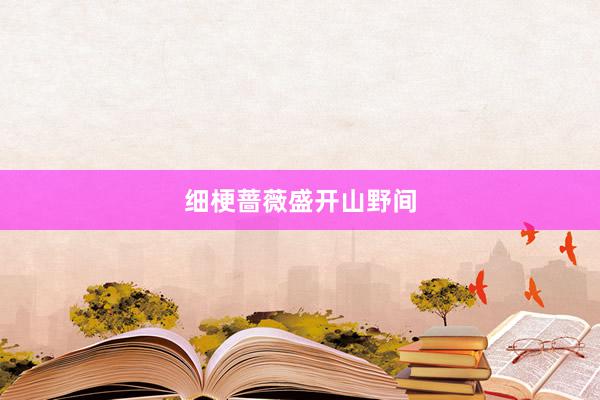 细梗蔷薇盛开山野间