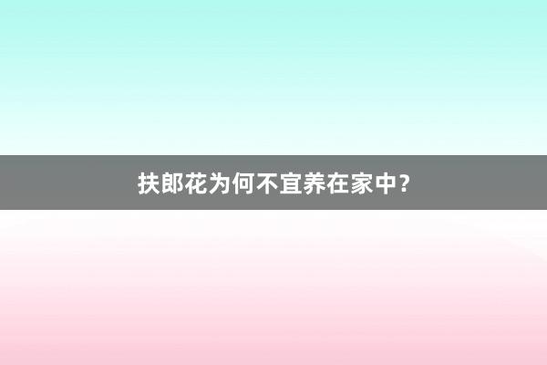 扶郎花为何不宜养在家中？
