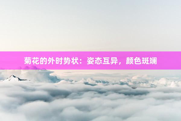 菊花的外时势状：姿态互异，颜色斑斓