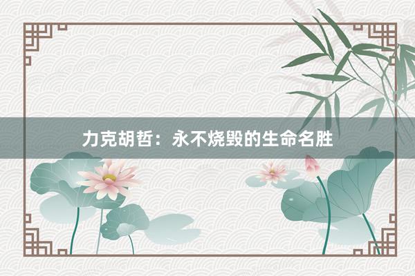 力克胡哲：永不烧毁的生命名胜